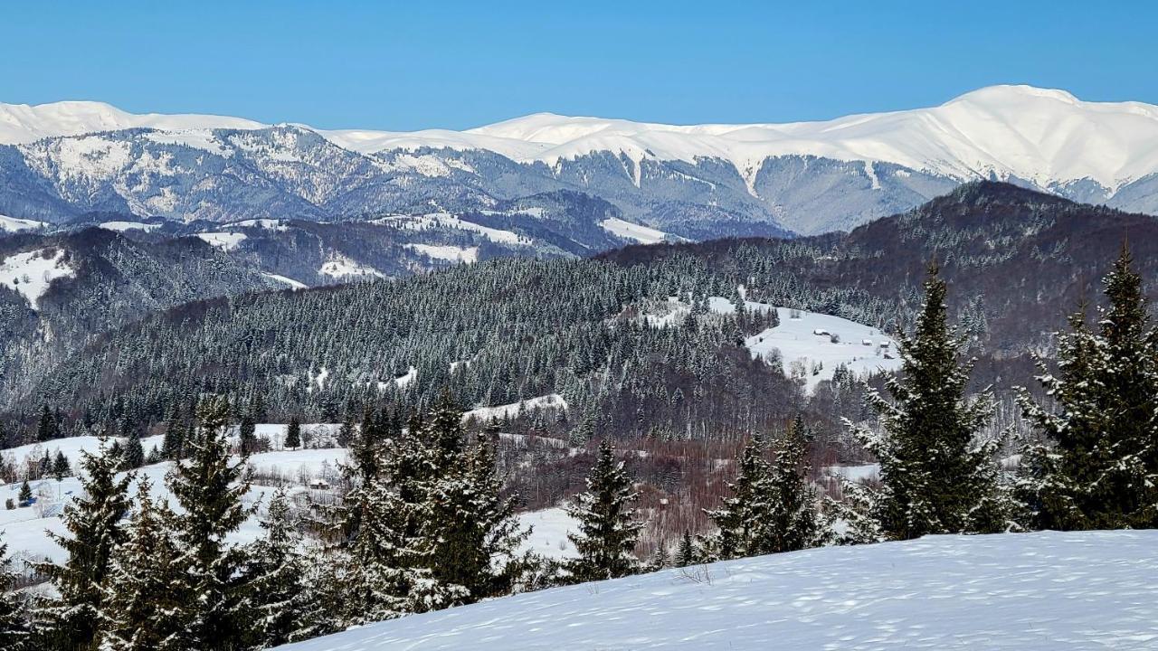 Willa Casablanca Podu Dimbovitei Zewnętrze zdjęcie